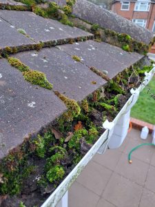 Gutters full of moss